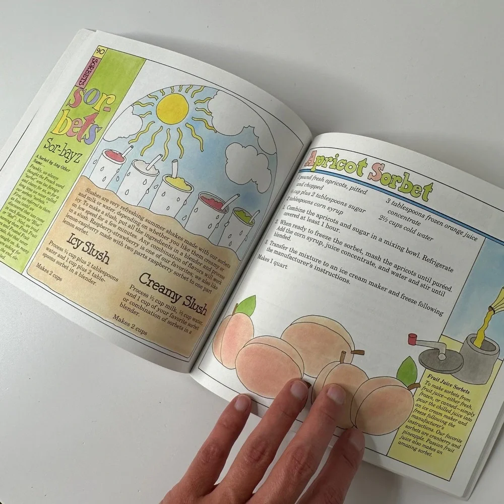 Ben & Jerrys Homemade Ice Cream Dessert Book Paperback‎ Recipes Retro 80s
